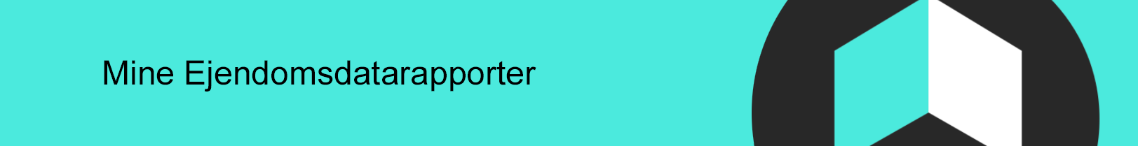 Mine ejendomsdatarapporter